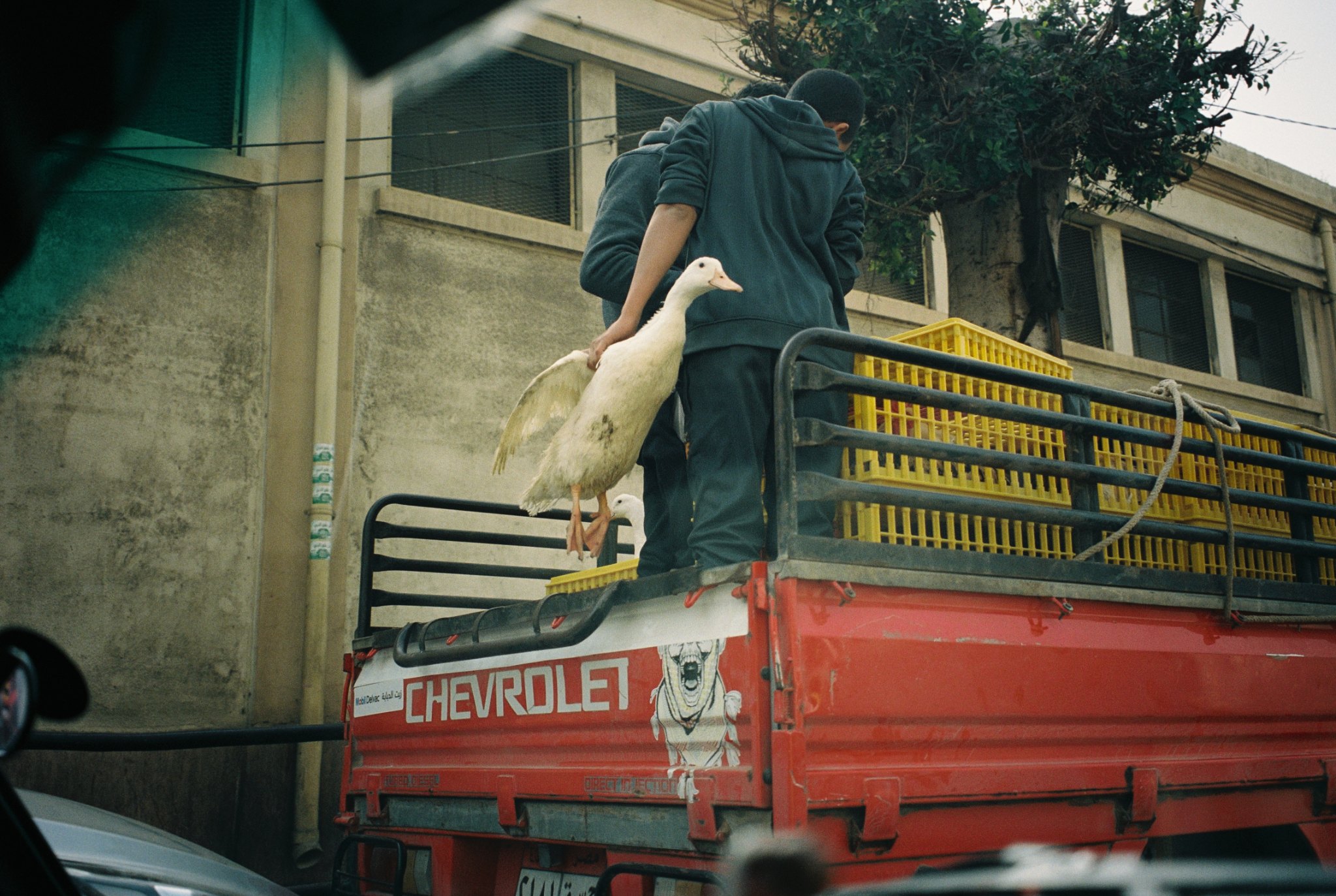 Cairo, 3