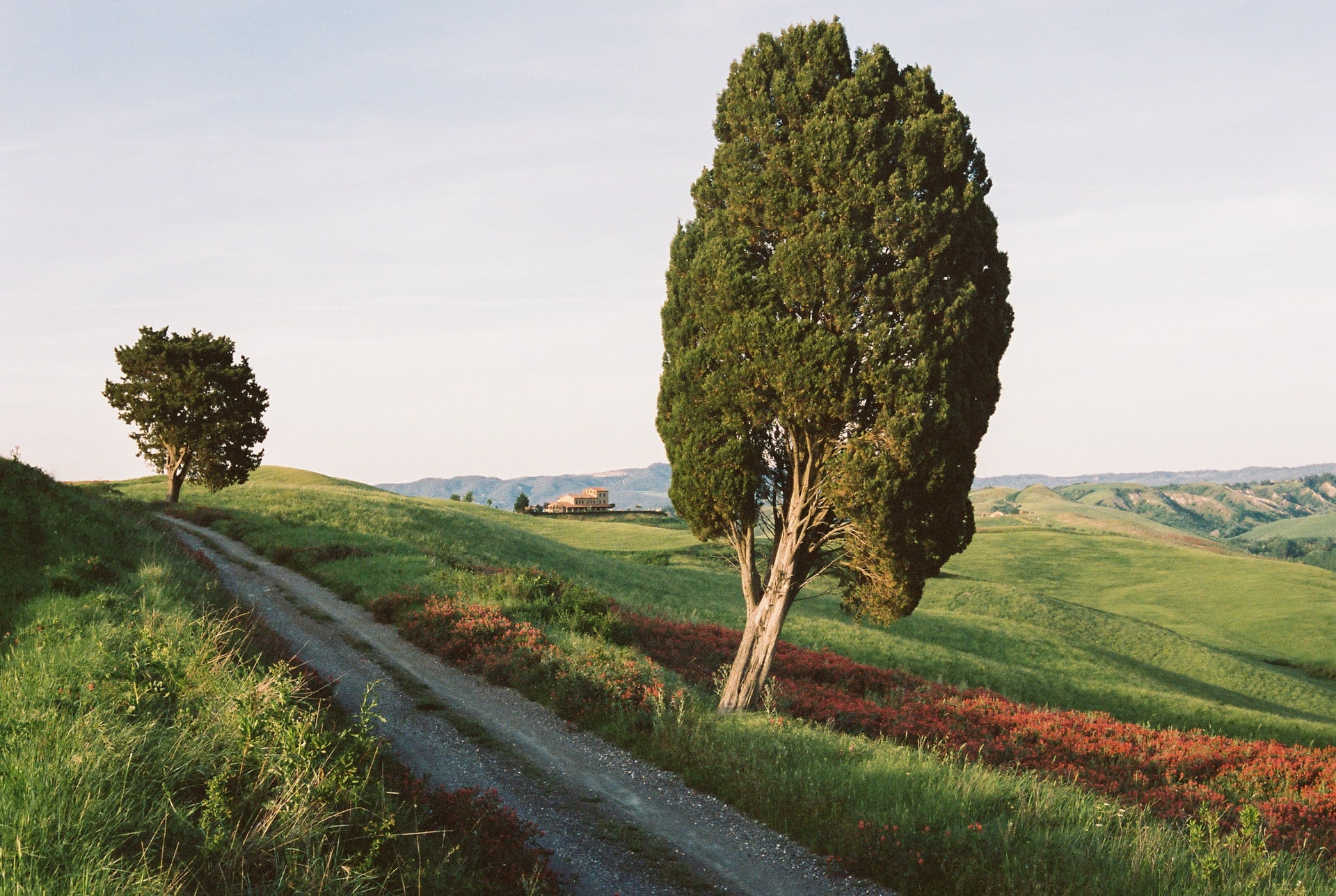 Toscana, 8