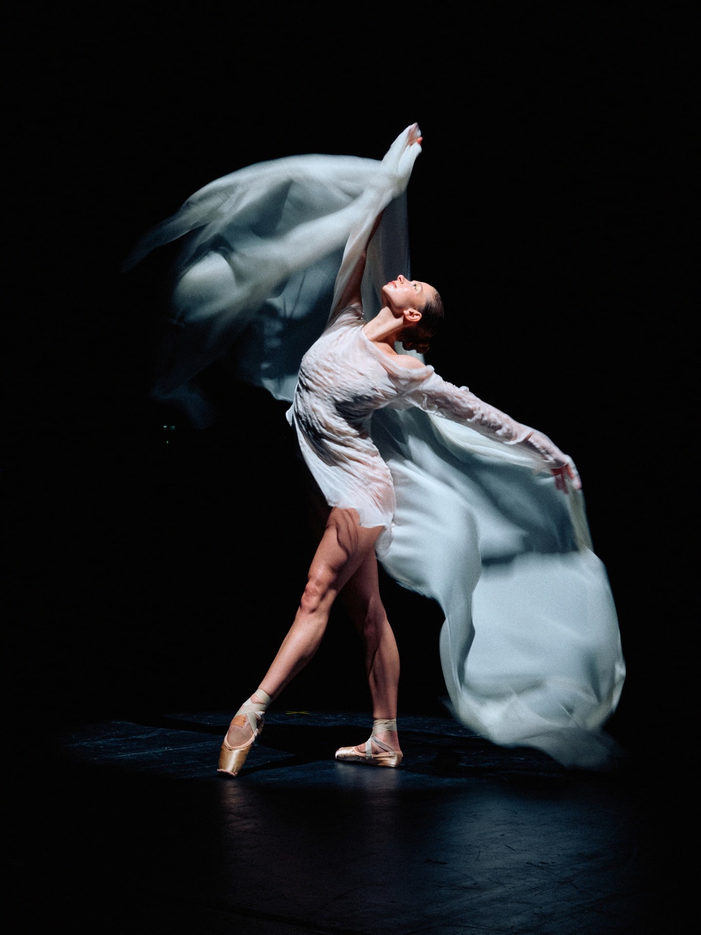 Elle Dance, 3