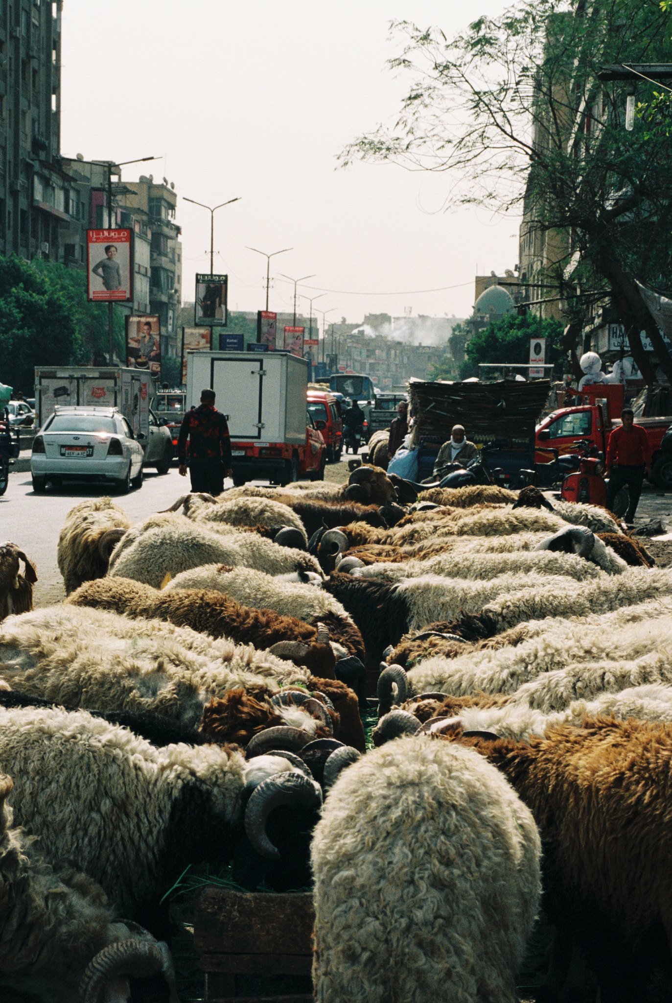 Cairo, 20