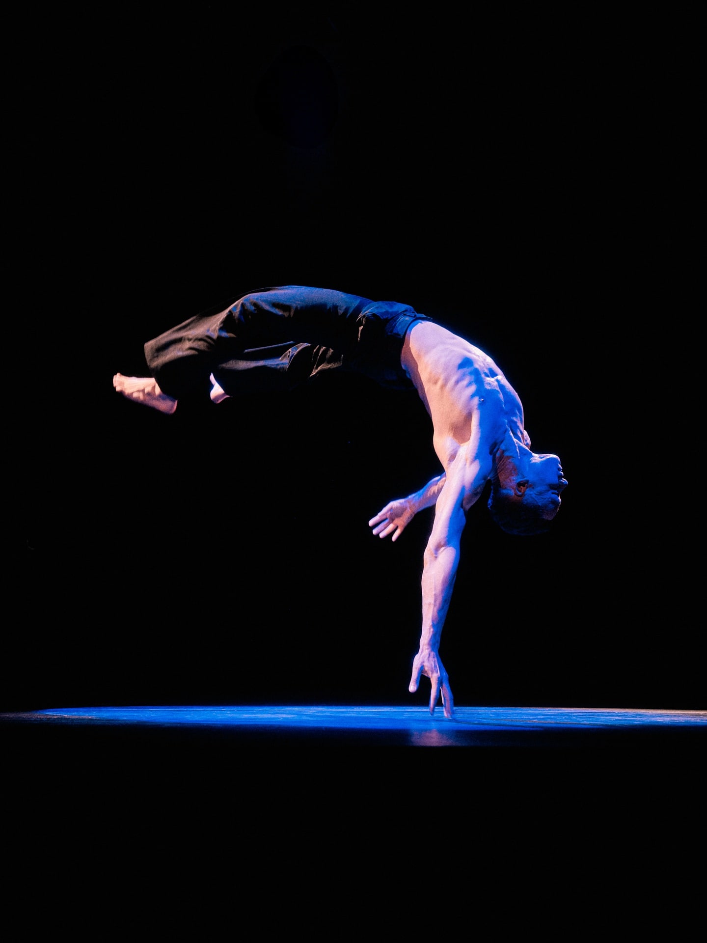 Elle Dance, 2